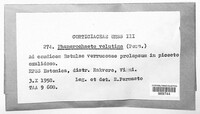 Phanerochaete velutina image
